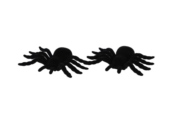 Kleine spinnen 2 stuks pluche carnaval