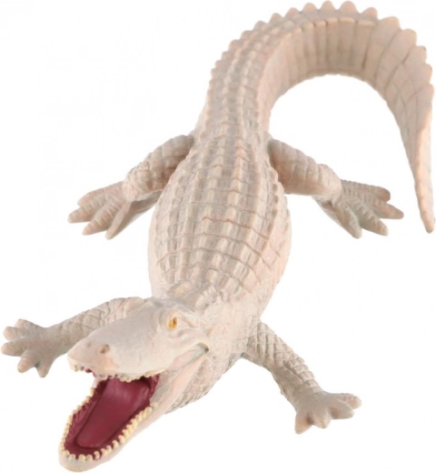 Educatieve waarde over zeldzame kleuring