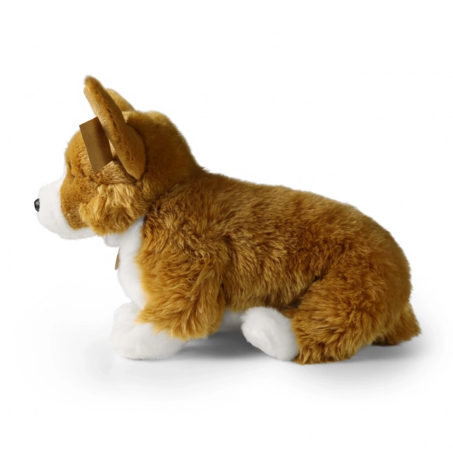 Pluchen hond corgi 32 cm van ecologische materialen