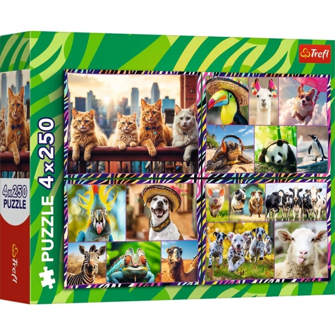 Puzzel 4x250 stukjes Grappige dieren