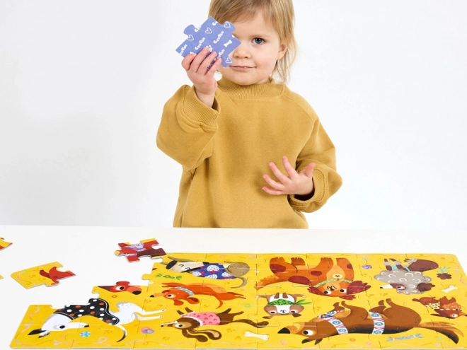 CzuCzu Puzzel Hau Piesci, 40 stuks