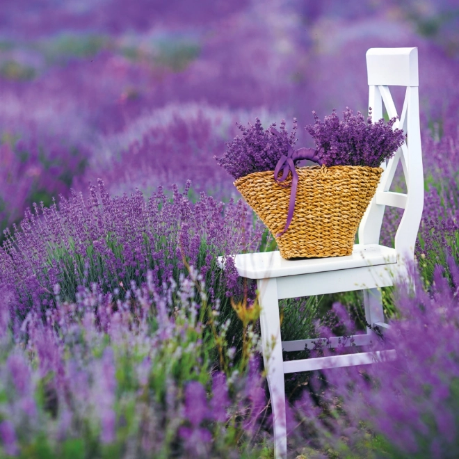 Notitiekalender Provence 2026