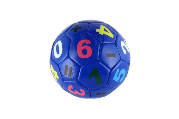 Kleine junior voetbalbal opgeblazen gestikt 15cm leer in netzak