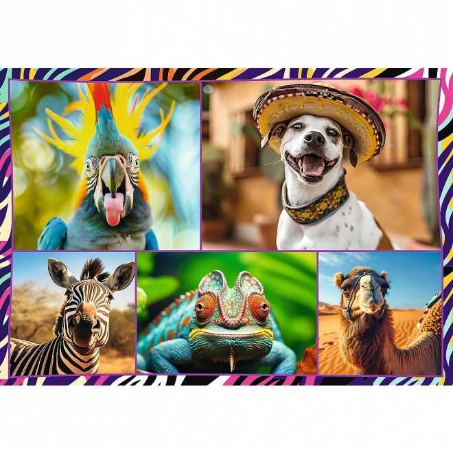 Puzzel 4x250 stukjes Grappige dieren