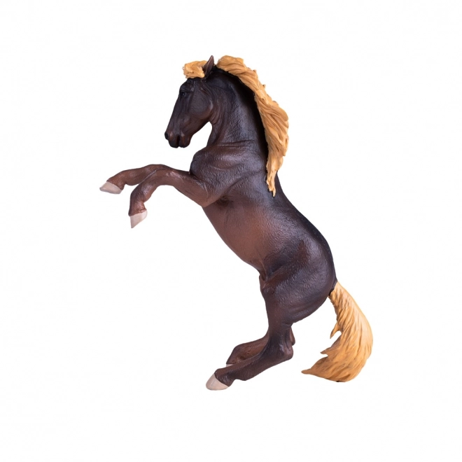 Mojo Hengst Brumby