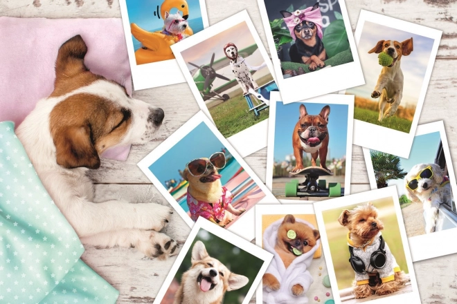 Puzzel 300 stukjes - Vakantiefoto's