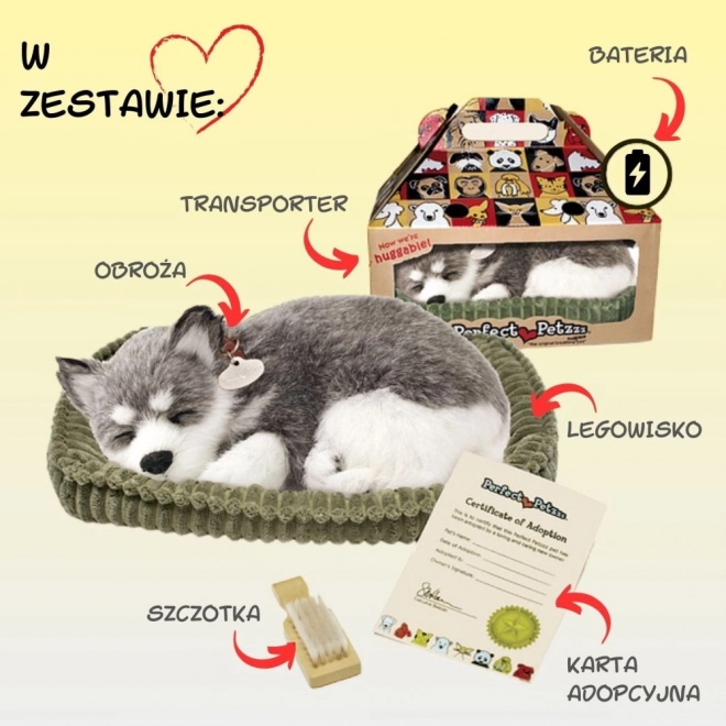 Adembenemende Alaska Husky knuffel