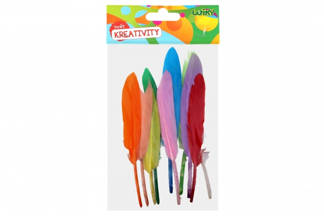 Creatieve set decoratieve veertjes