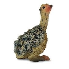 Zittende Collecta Struisvogelkuiken