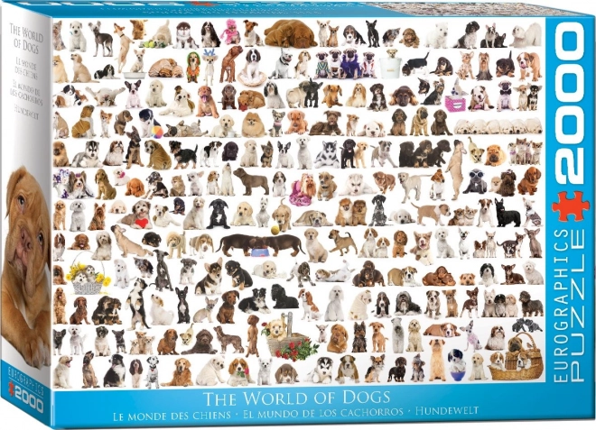 EUROGRAPHICS puzzel Wereld van honden 2000 stukjes
