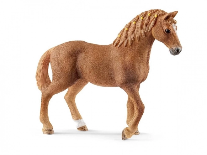 Quarter horse, merrie