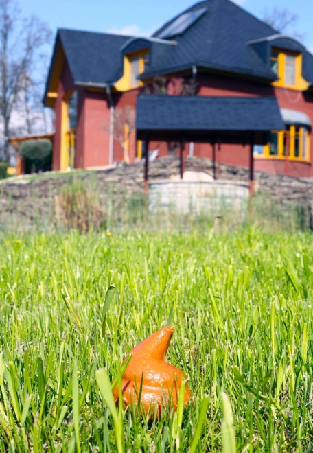 Antistressbal - drolletje