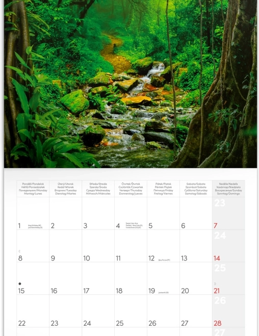 Notitie Kalender Regenwouden 2026