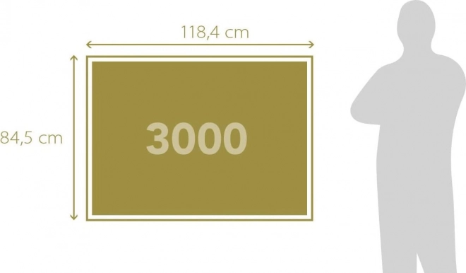 Puzzel Verhaal van Parijs 3000 stukjes