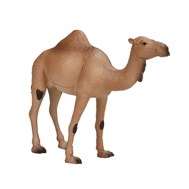 Mojo Animal Planet Dromedaris