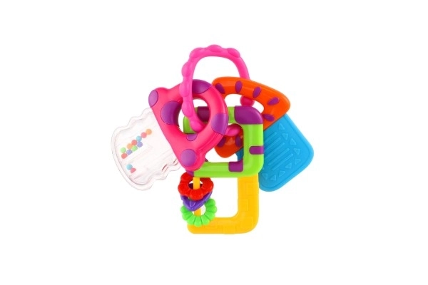 Rammelaar/Bijtspeelgoed sleutels plastic 10x12cm op kaart 3m+