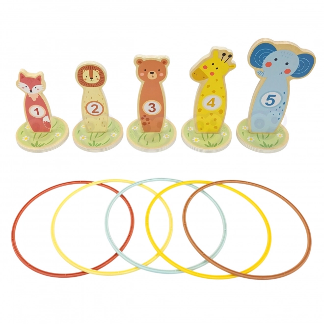 Houten precisiespel met ringen Tooky Toy