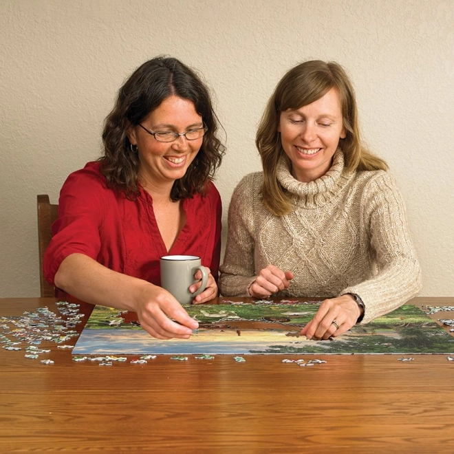 Puzzel Veld bij zonsopgang van Cobble Hill 1000 stukjes