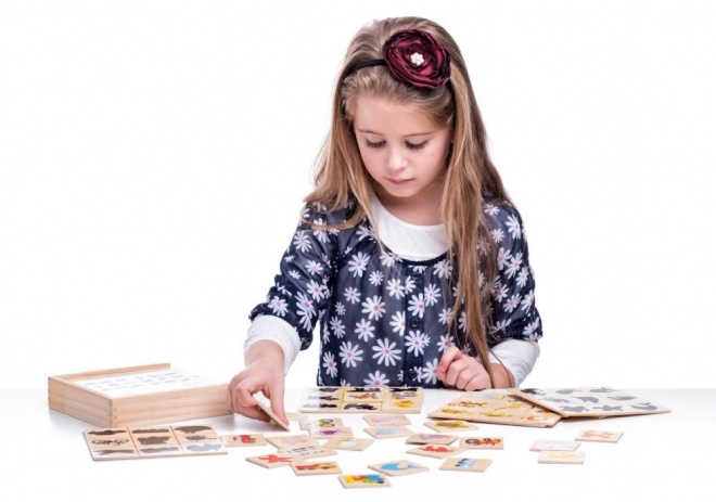 Puzzel vind de schaduw