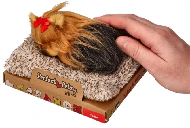 Perfecte kleine York puppy knuffel