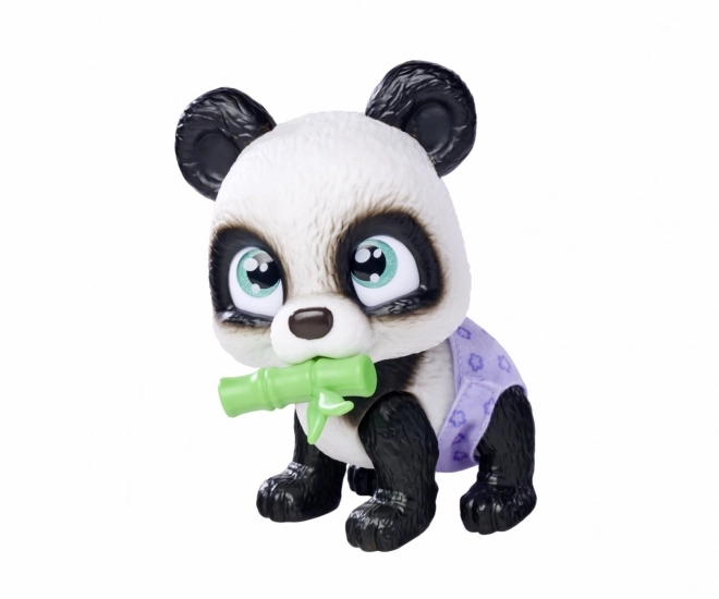 Panda Verwen Huisdieren