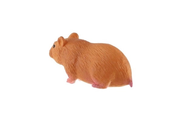Cavia huishoudelijke zooted 6cm in zak