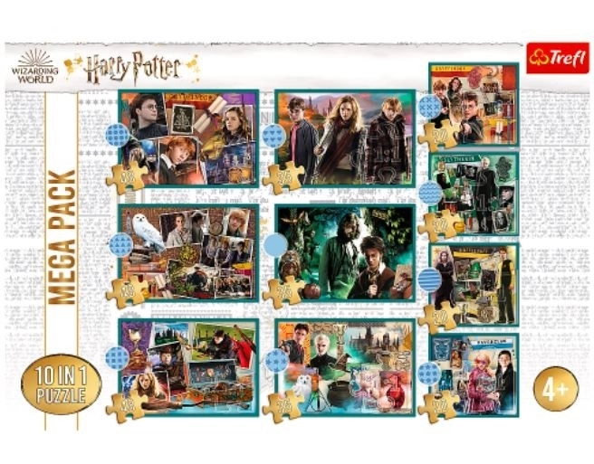 Puzzel Harry Potter - In de wereld van Harry Potter 10-in-1