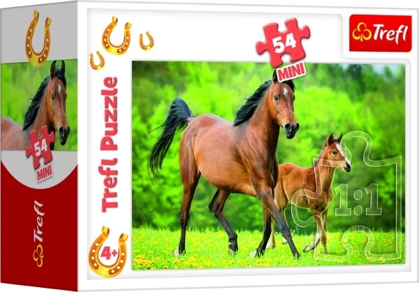 Minipuzzel 54 stuks Paarden 4 soorten in doos 9x6,5x4cm