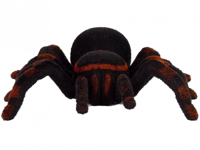 Leuk op afstand bestuurbare spin Tarantula