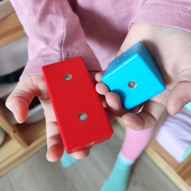 Houten magnetische blokken WABI 40 stuks