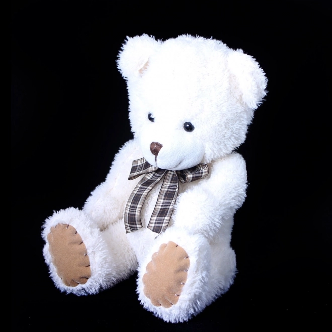 Pluchen teddybeer met strik en lapje