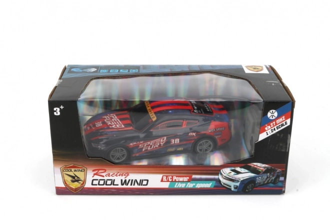 RC auto met afstandsbediening 1:24