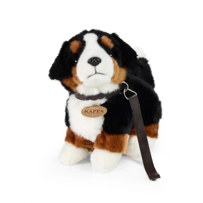 Pluchen Berner Sennenhond Eco-Friendly 22 cm