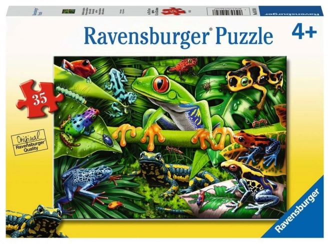 Puzzel Geweldige amfibieën 35 stukken