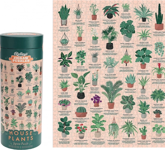 Puzzel Kamerplanten 1000 stukjes RIDLEY'S GAMES