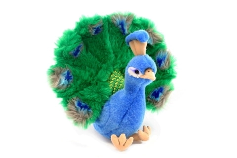 Pluchen pauw