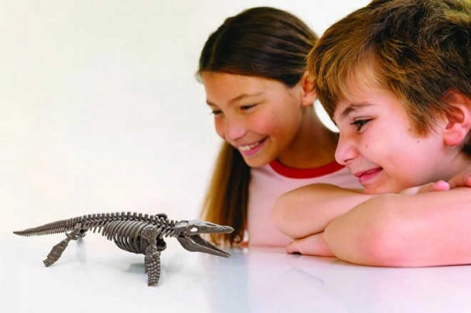 4M Mosasaurus Skelet