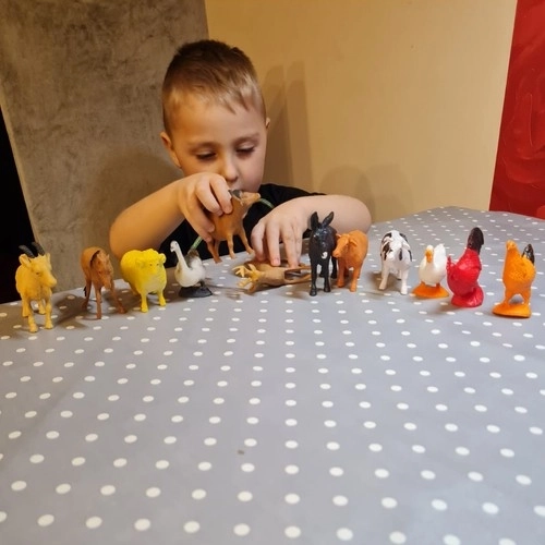 Dieren op de boerderij - set van 12 figuren