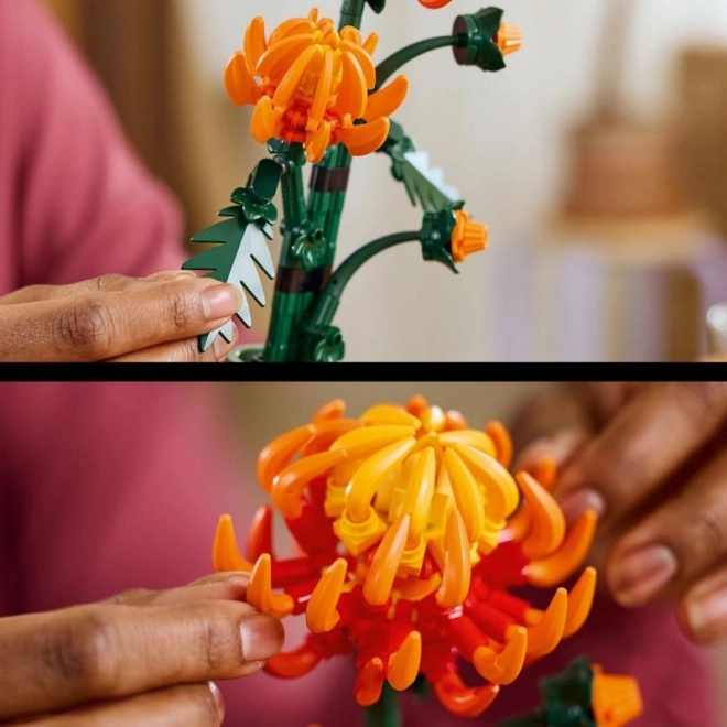 LEGO Icons 10368 Chrysant