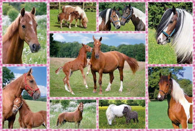Puzzel Prachtige paarden 150 stukjes SCHMIDT