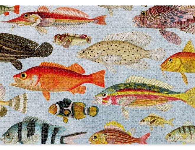CLOUDBERRIES Puzzel Aquatic 1000 stukjes
