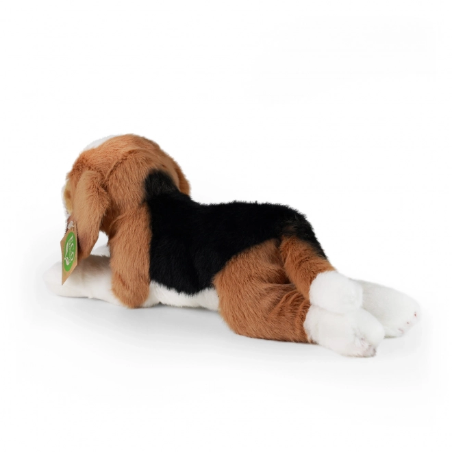 Pluchen hond Beagle Eco-Vriendelijk 20 cm