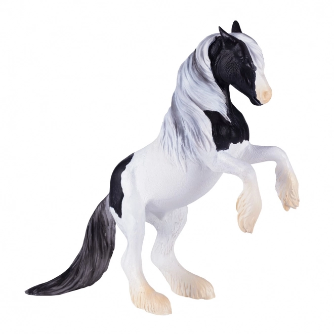 Mojo Hengst Gypsy Vanner