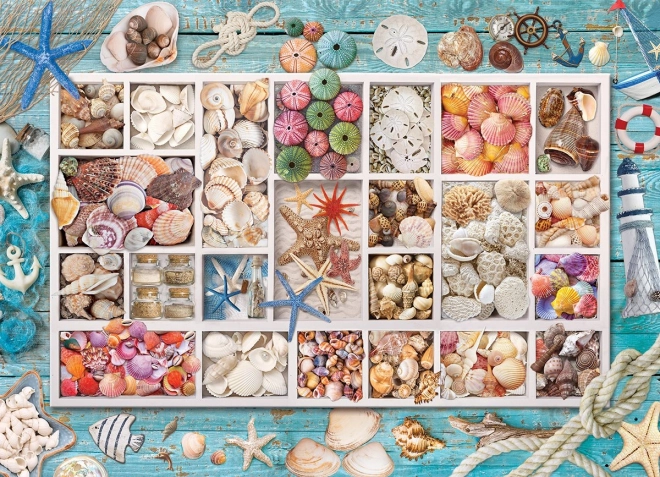 Puzzle EUROGRAPHICS Laura’s schelpenverzameling – 1000 stukjes