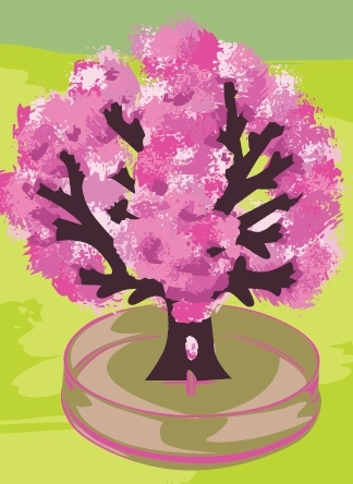 ARTO Magische Sakura