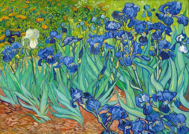 Puzzel Irissen van Vincent van Gogh 1000 stukjes