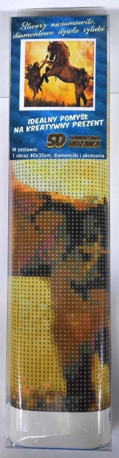 Diamantschilderen Temmen van het paard 30x40 cm