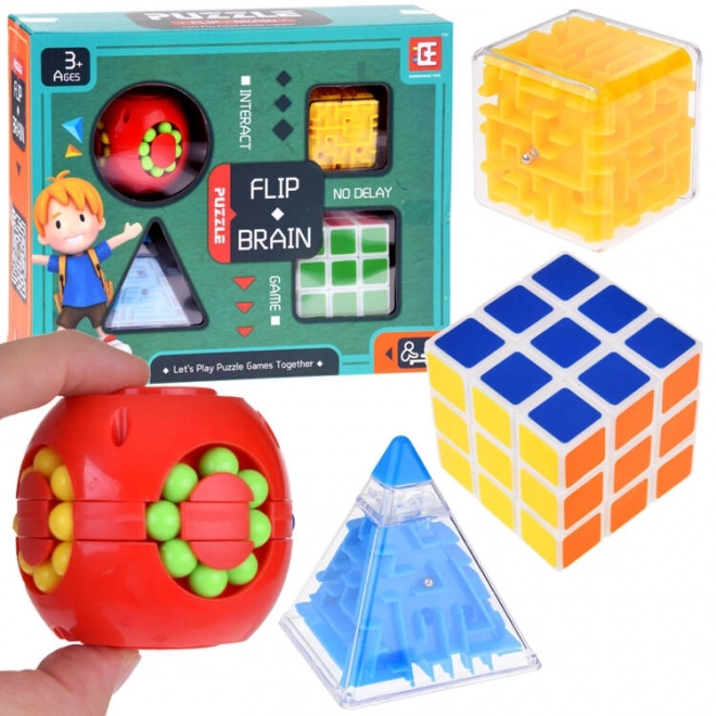 Set logische puzzels 4 stuks