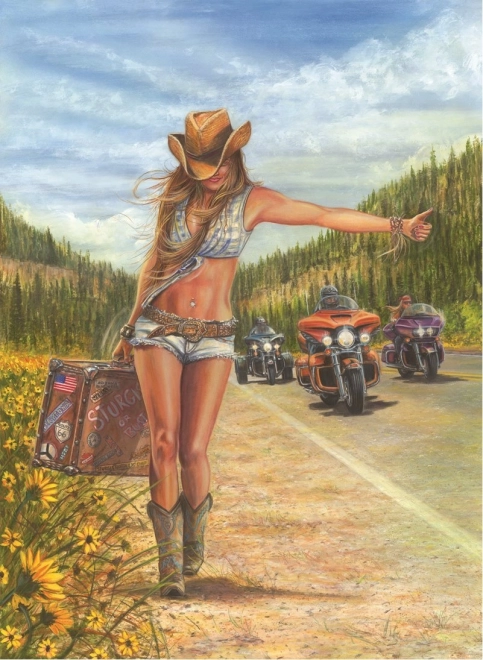 Puzzle American Gypsy 1000 stukjes