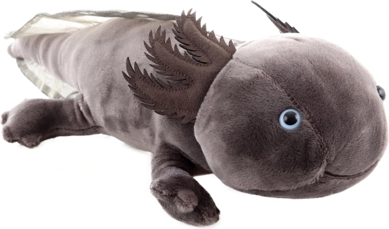 Veilig vanaf de geboorte